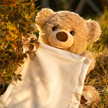 Hide and Seek Teddy Bear for Kids!