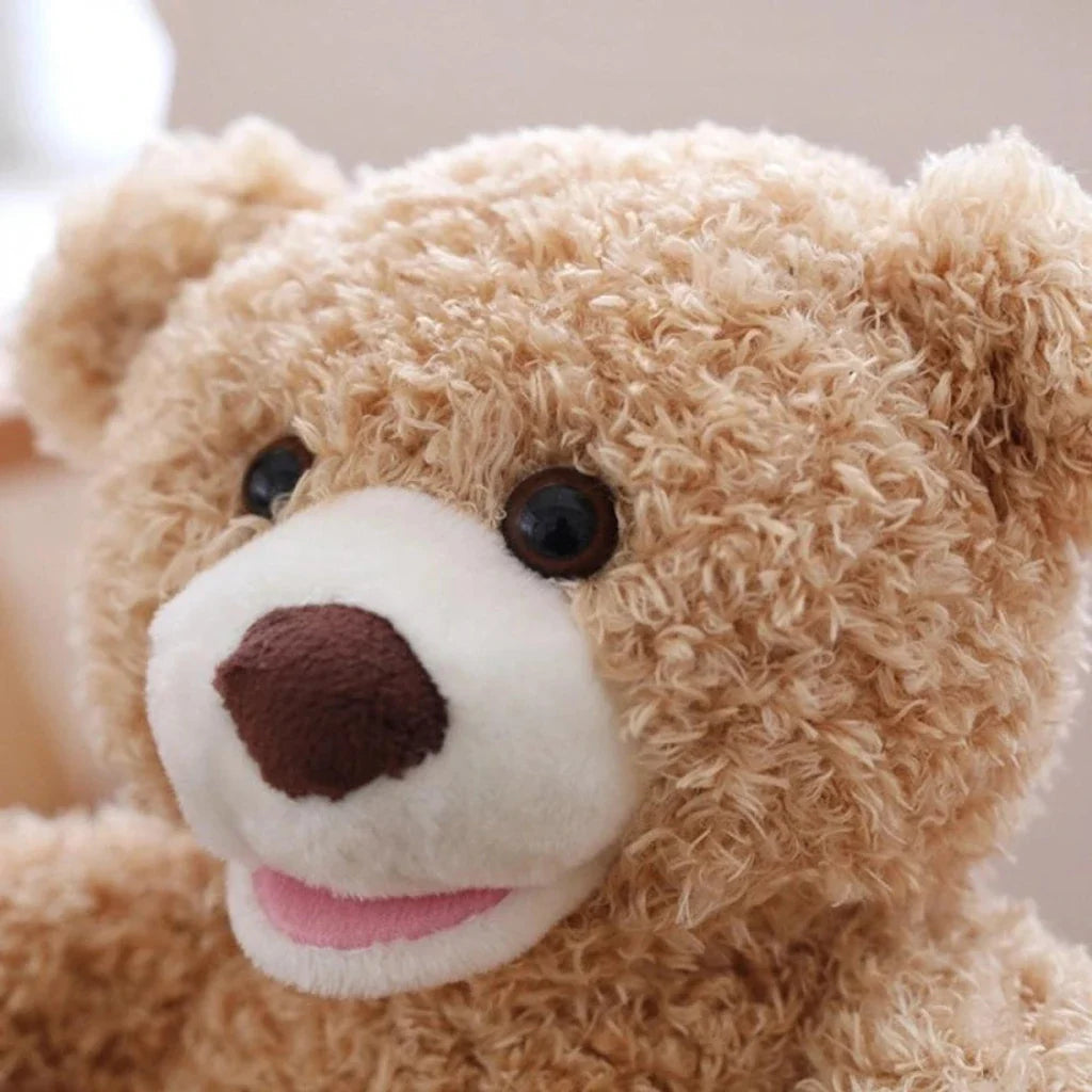 Hide and Seek Teddy Bear for Kids!